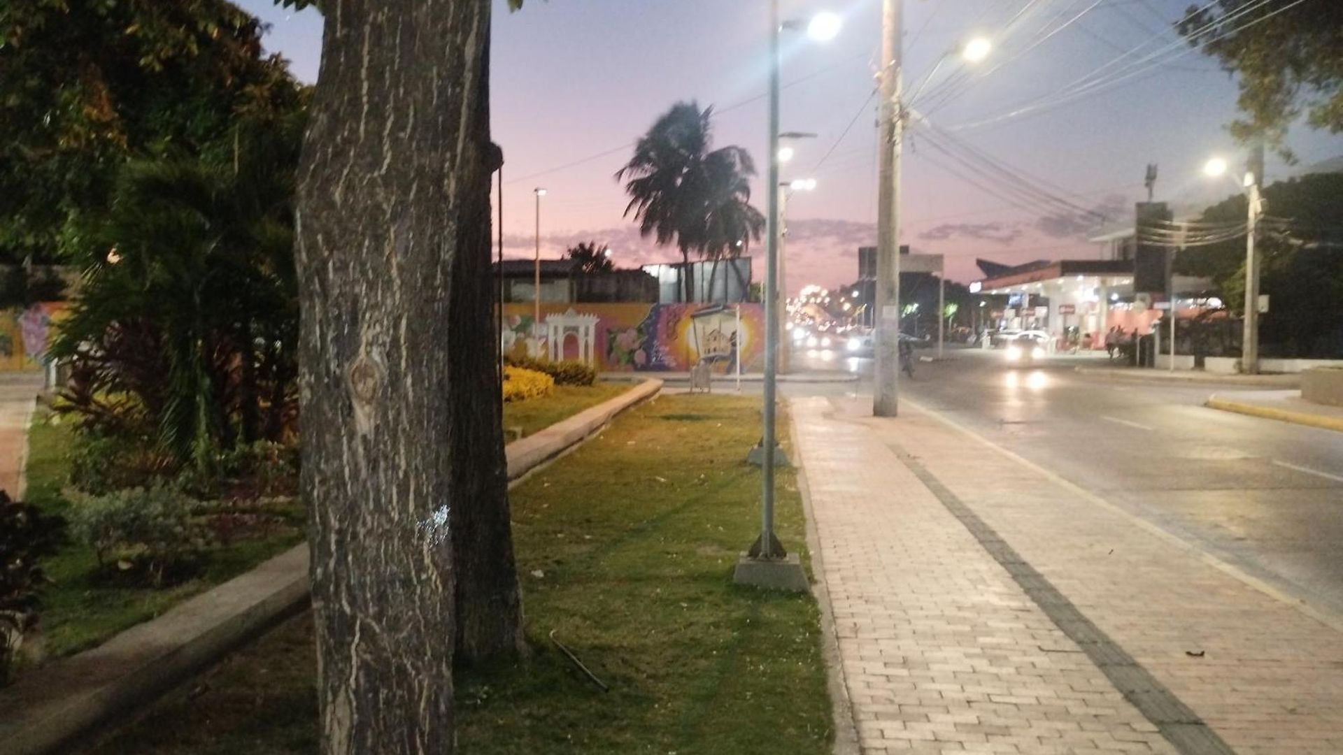 Del Pastelillo